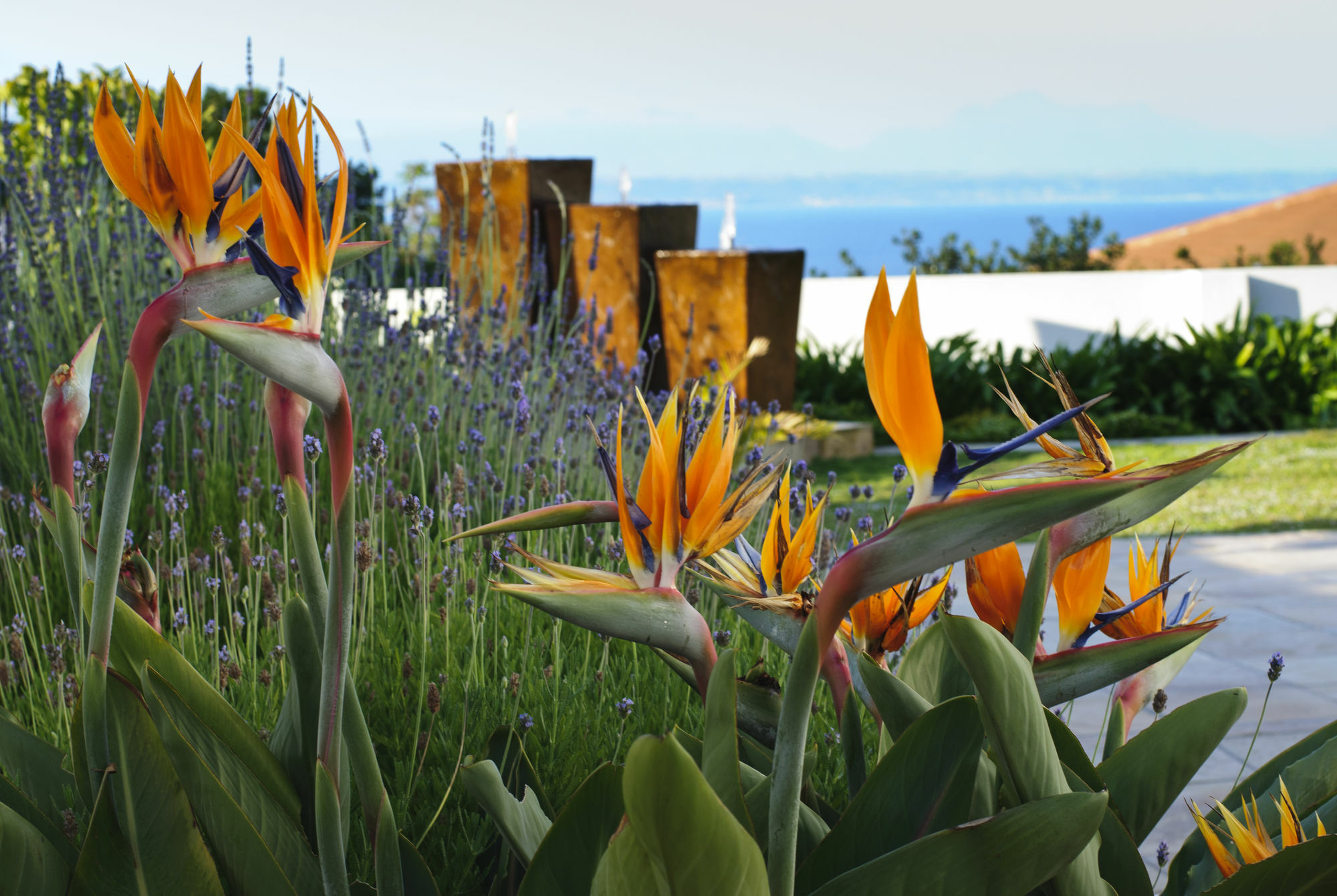 Aquamarine Guest House Mossel Bay Zewnętrze zdjęcie